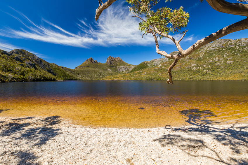 Lake Dove Beach - Cradle Mountain