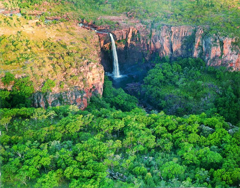 kakadu australie