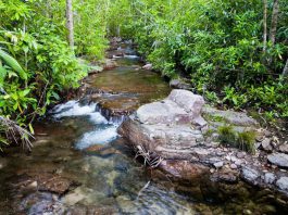 Litchfield National Park