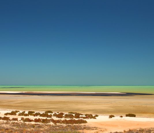 Shark Bay