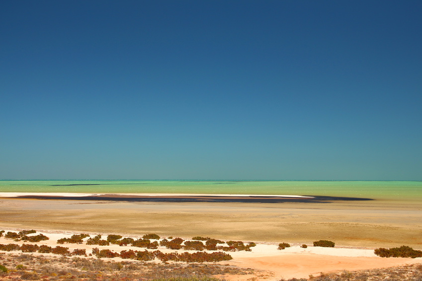 Shark Bay