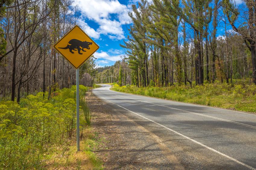 l'Australie à vélo