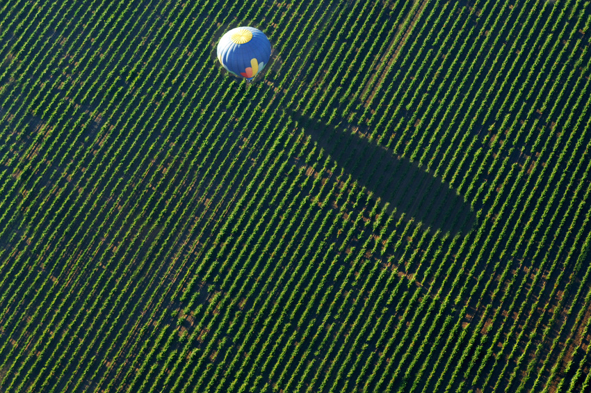 Balade en ballon au dessus des vignobles