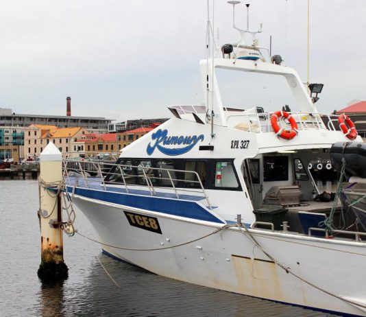 Le Rumours, mon nouveau lieu de travail et ma maison en même temps