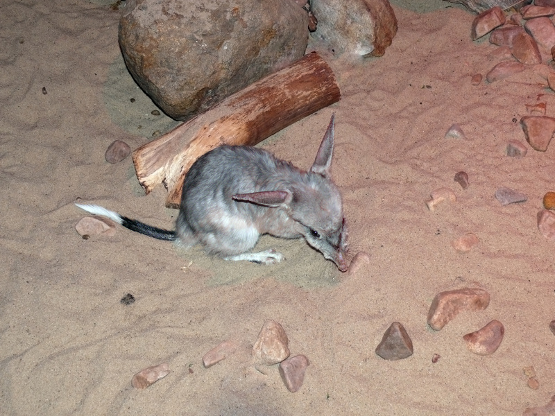 Shark Bay