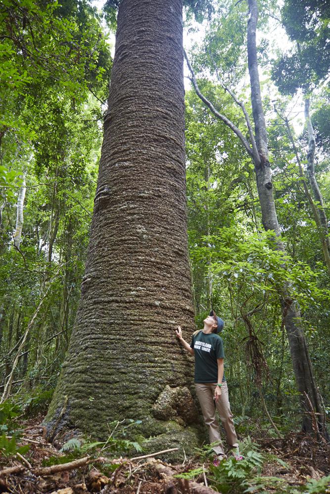 Bunya montains National Park