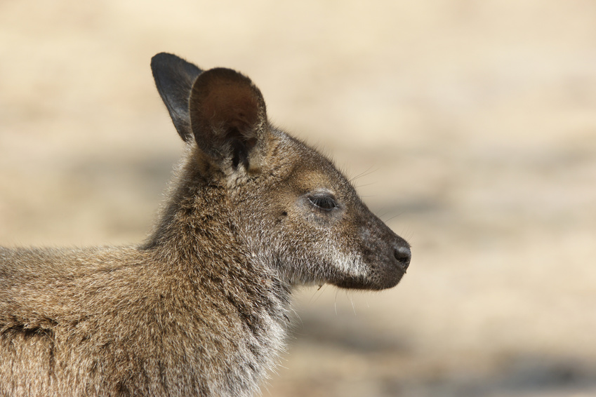 Freycinet National Park