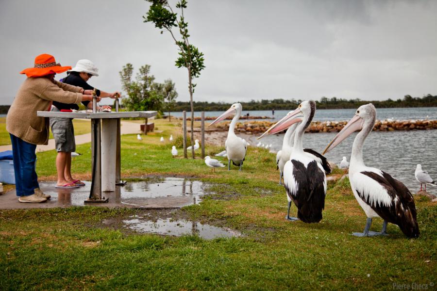 New South Wales