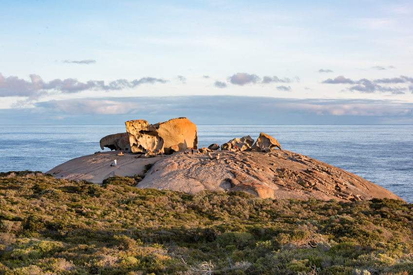 kangaroo island , un des joyaux de l'Australie du sud