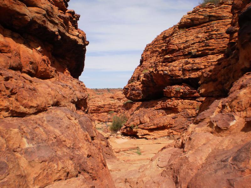 Kings Canyon