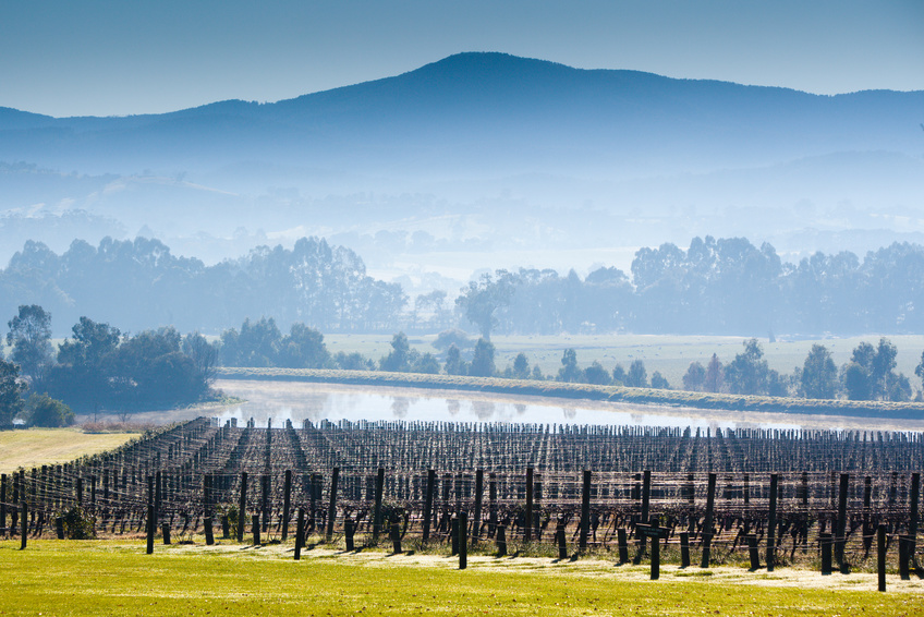 La Yarra vallée dans le brouillard en hiver