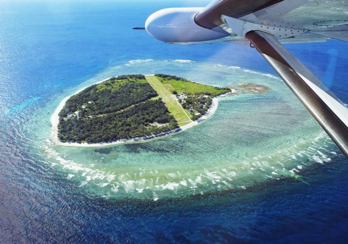 lady_elliot Grande Barrière