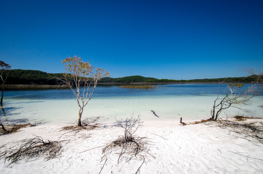 Lake Birrabeen - Fraser Island