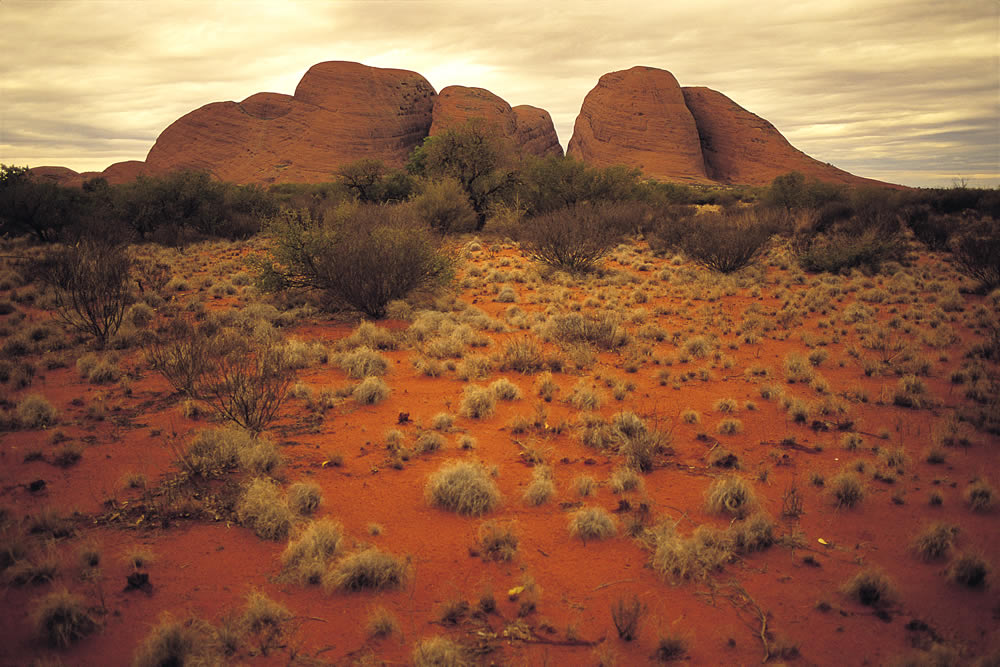 Les Olgas - Uluru National Park