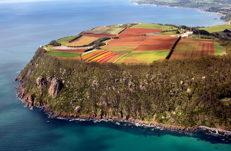 ouest de la Tasmanie