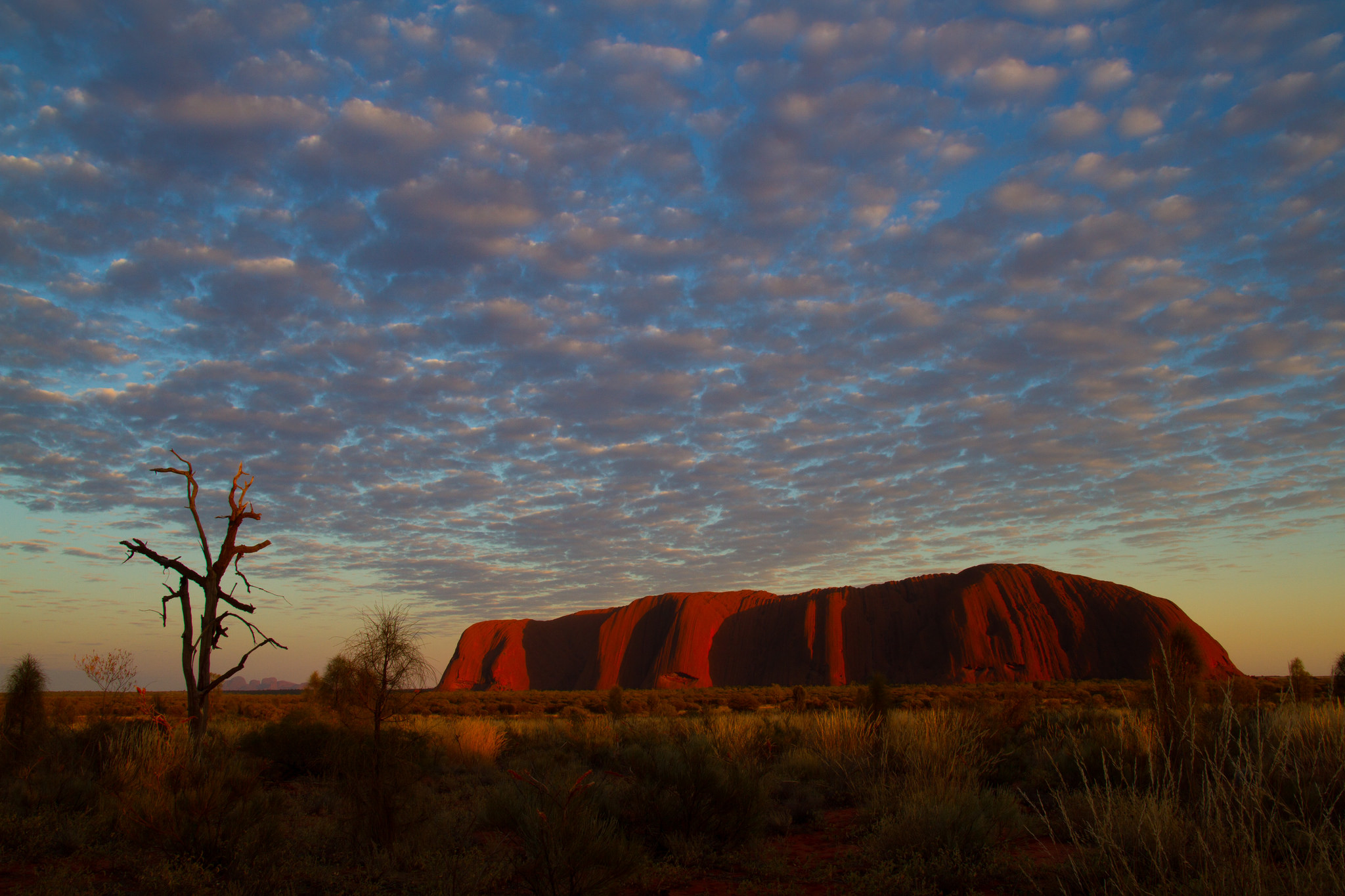 Ayers Rock - Uluru - Uluru National Park
