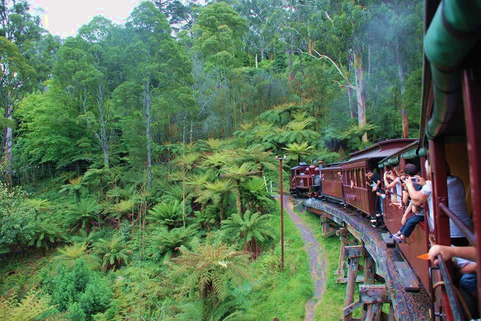 Le Train Puffing Billy pour se rendre dans les Dandenongs © A.Munoz