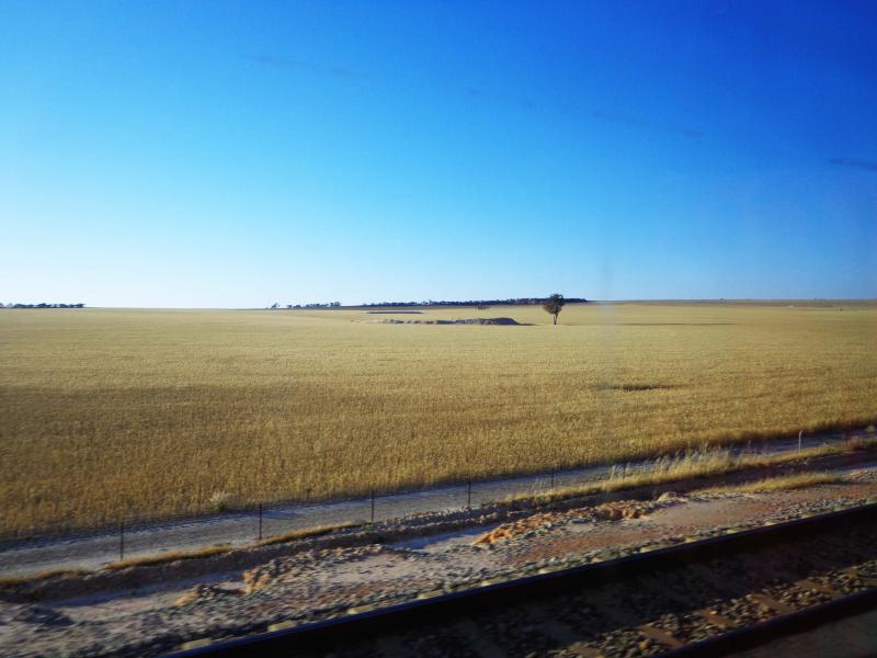 Aux abords de Perth, prairies et champs de cultures se dessinent à l'horizon. 