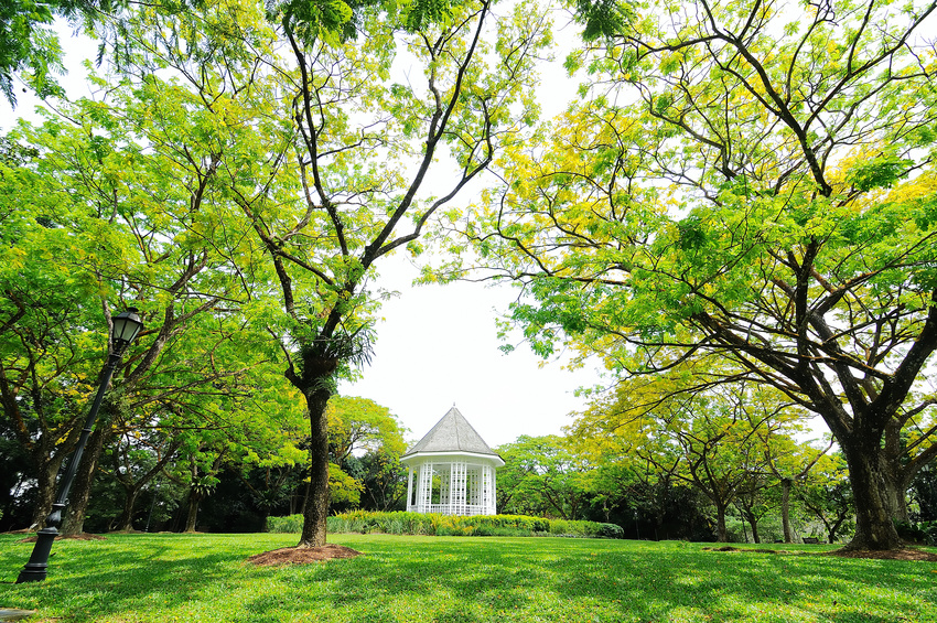 Jardin Botanique - Singapore