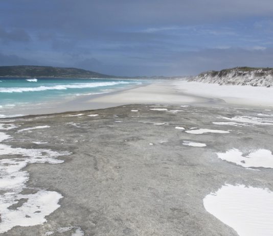Cape Arid