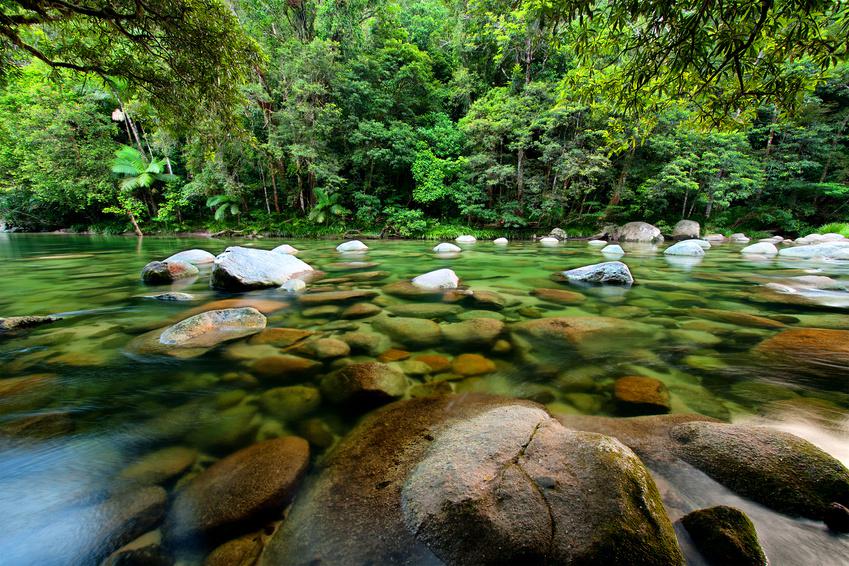 Daintree National Park