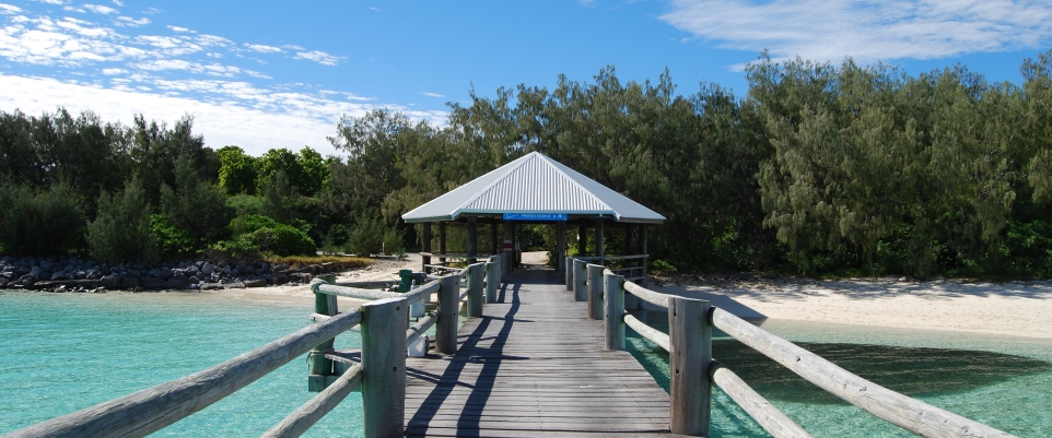 Heron Island