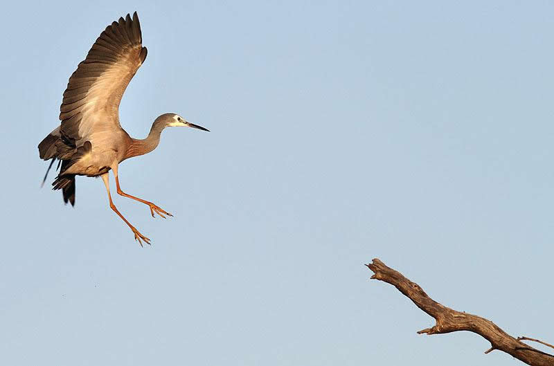 Kinchega National Park