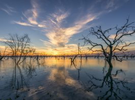 Kinchega National Park