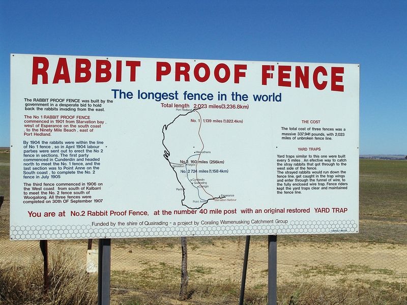 La clôture anti-intrusion contre les lapins..3000 kms !