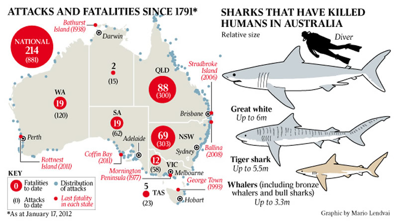Requins Australie