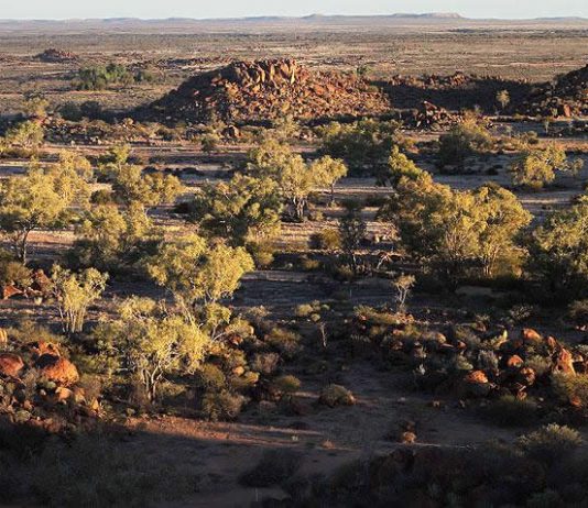Sturt National Park