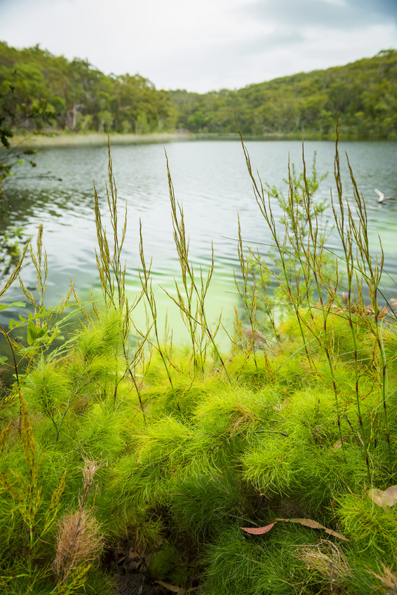 Blue Lake Stradbroke Island