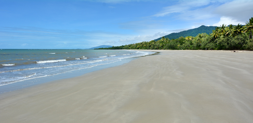 Cape Tribulation