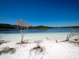Lake Birrabeen - Fraser Island