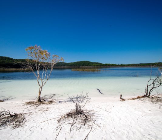 Lake Birrabeen - Fraser Island