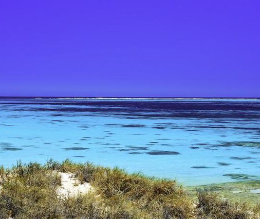 Ningaloo Reef