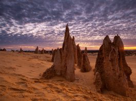 Pinnacles - Western Australia