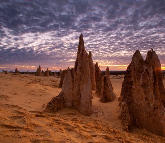 Pinnacles - Western Australia