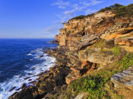 Royal National park Sydney