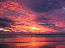 Crocodile plage de Broome