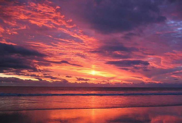 Crocodile plage de Broome
