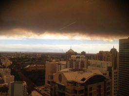 Incendies Sydney
