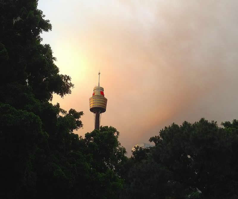 Incendies Sydney