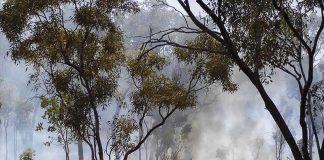 Incendies aborigènes