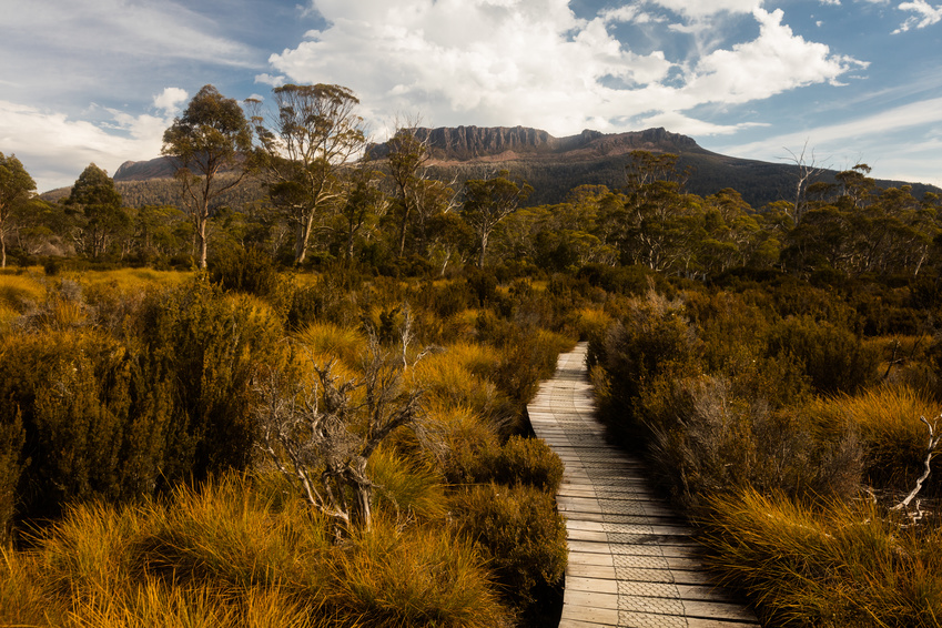 Overland Track