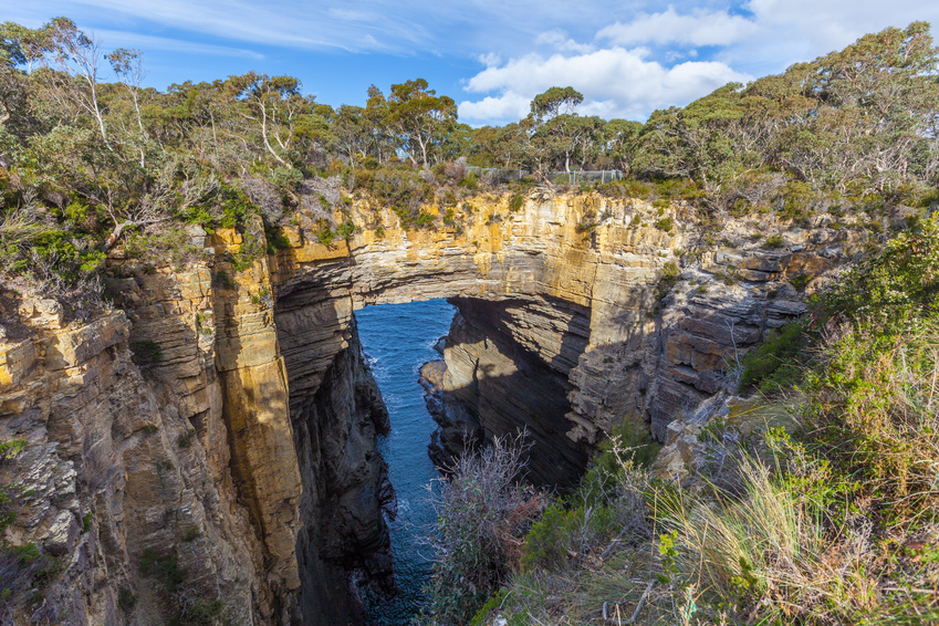 Tasmanie