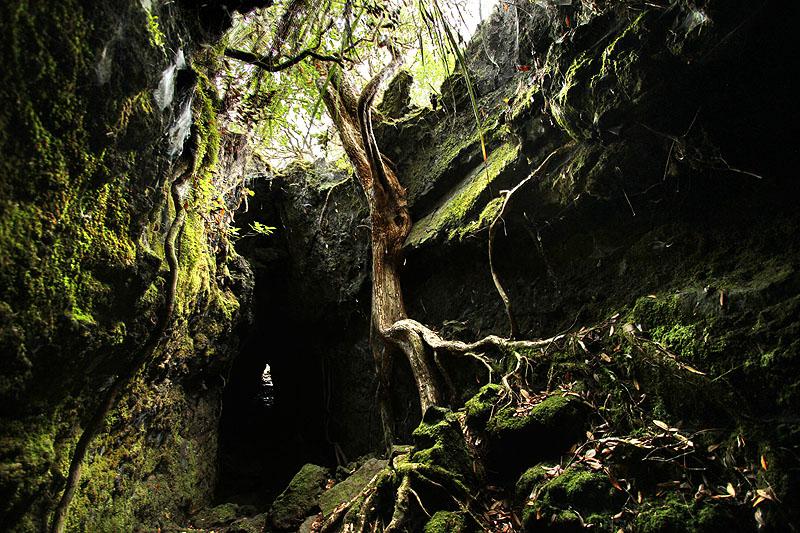 Auckland Nouvelle Zélande