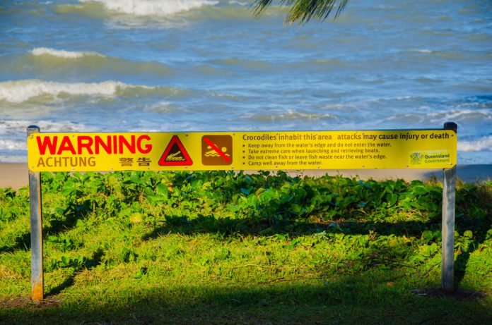 Krokodile! crocodile australie