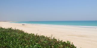 Requin Cable Beach