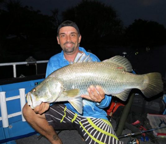 Barramundi